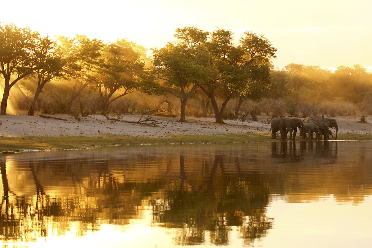 Impressions de voyage de Morgane & Jérôme, Auto tour & Fly-in, Namibie, Botswana, Zimbabwe – Mai 2019