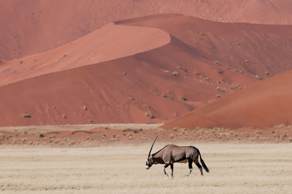Impressions de Voyage de Nicolas et sa famille – Safari Auto Tour Namibie Botswana, Aout 2016