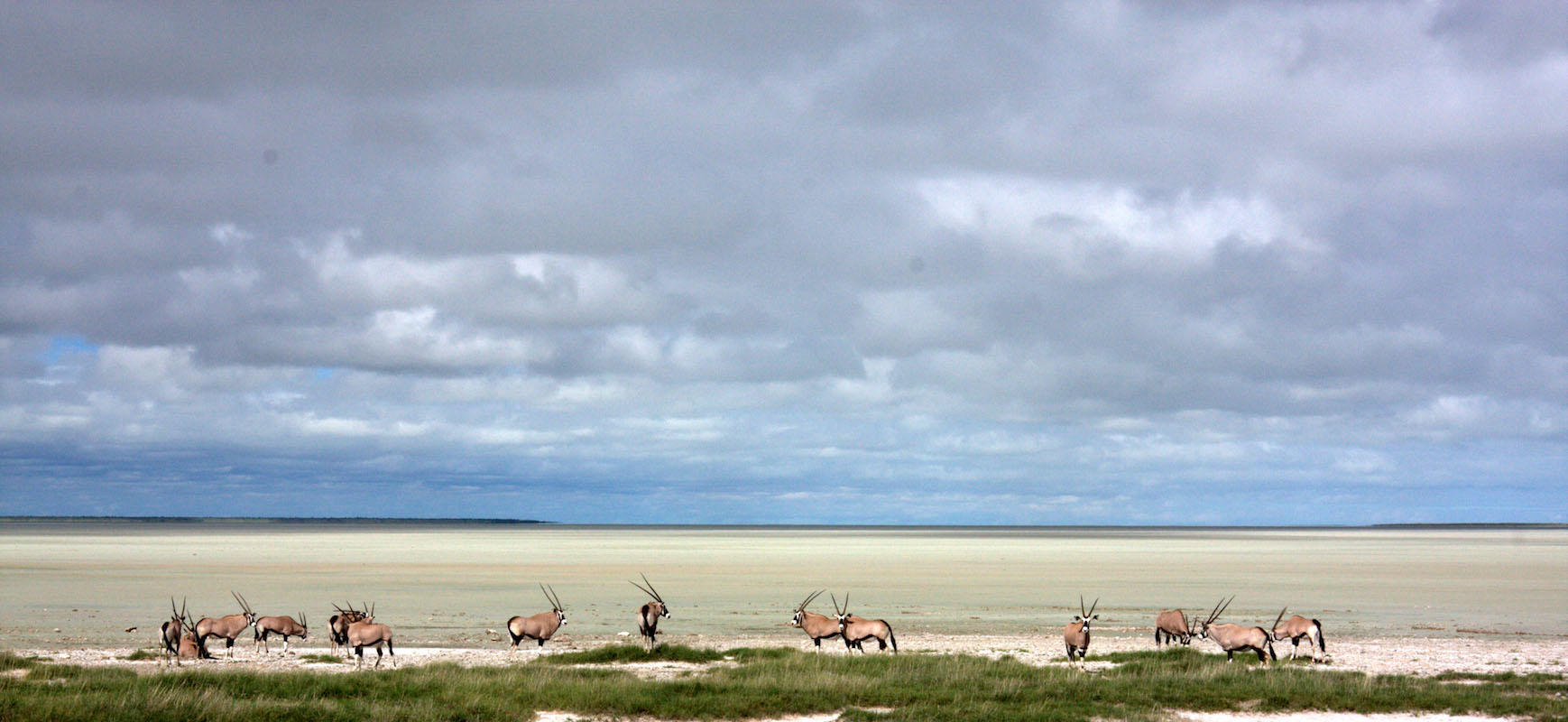 Impressions de Voyage de Maya et Arnaud – Safari Auto Tour Namibie,Botswana, Zimbabwe, Mai 2016