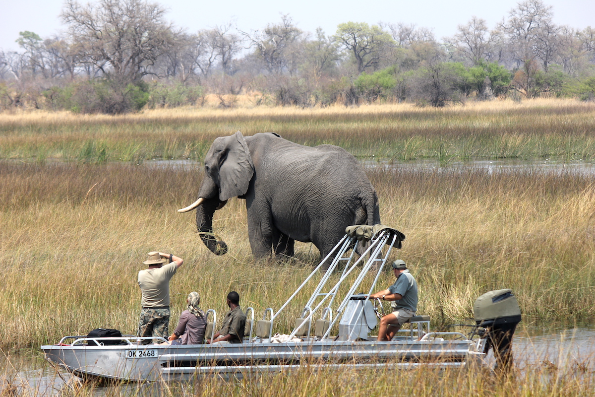 Impressions de Voyage de Camille, Julien et Maud – Safari Auto Tour Namibie,Botswana, Zimbabwe, Juillet 2016