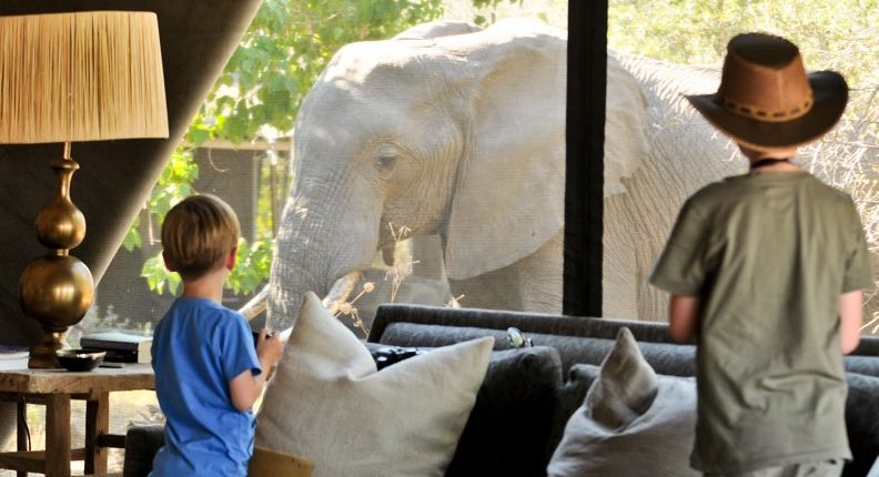 Votre safari en famille au royaume des éléphants