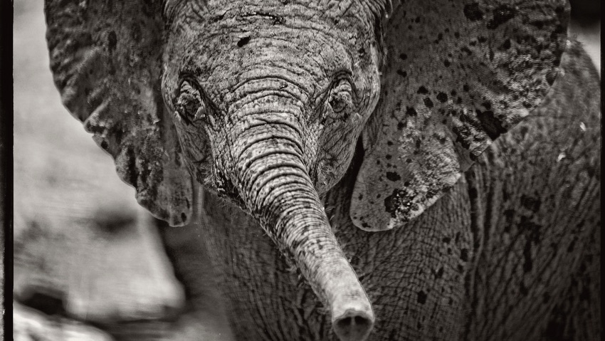 MAI 2018 – Bertrand & sa famille