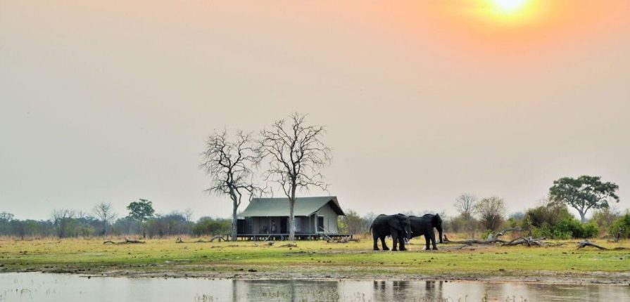 Les Chutes Victoria & Chobe : Lodges de charme & Hélicoptère
