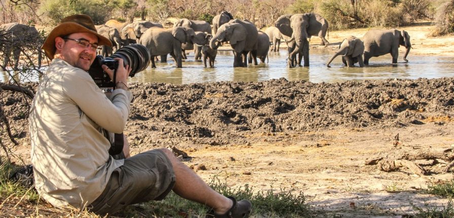 Botswana : Safari privatif guidé Lodges & Camps