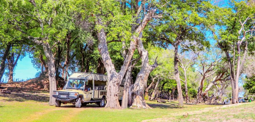 Méandre guidée en Afrique Australe Méandre guidée en Afrique Australe