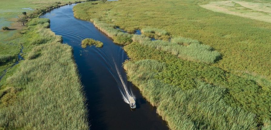 Du Delta aux Chutes du Zambèze en lodges & liberté Du Delta aux Chutes du Zambèze en lodges & liberté