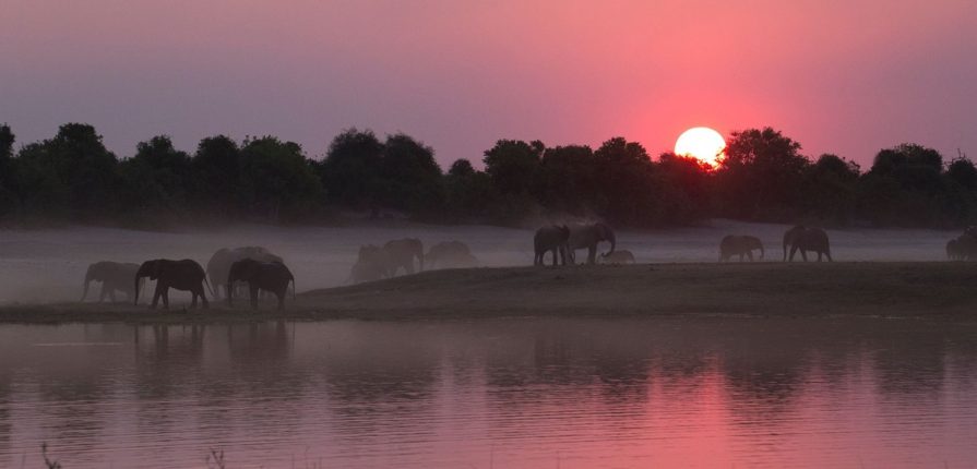 Destination Botswana
