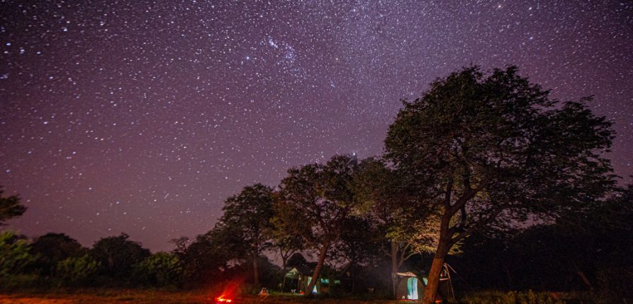 Safari de charme entre terres et rivières Safari de charme entre terres et rivières