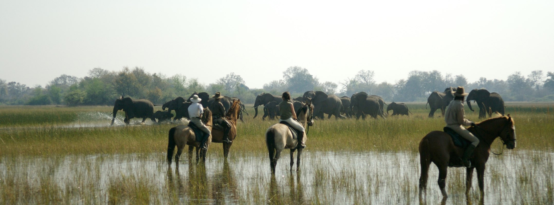 Concessions Delta de l’Okavango