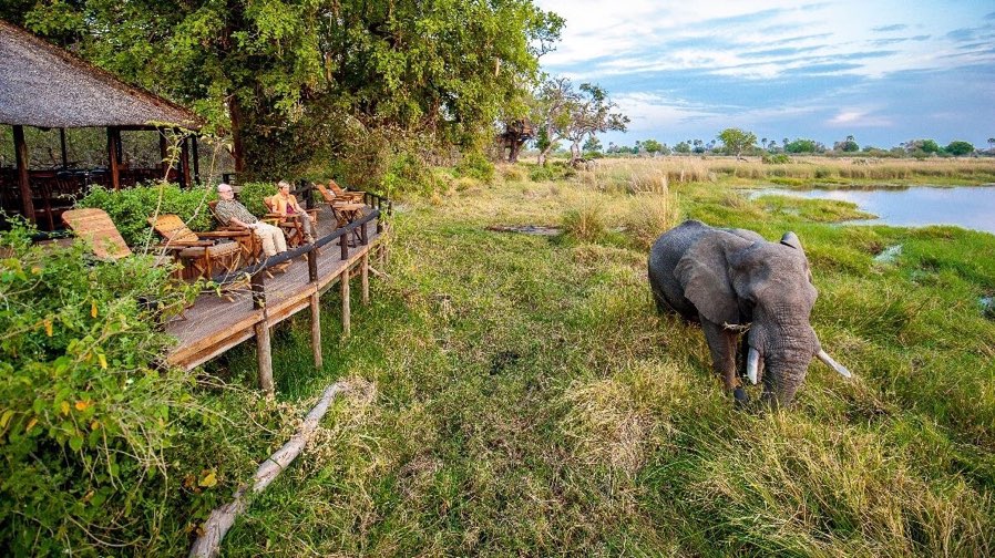 Okavango | Chief Island