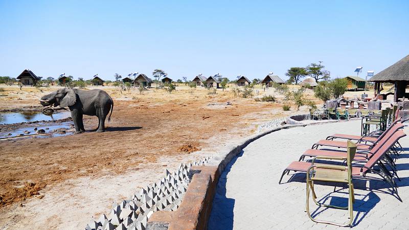 Elephant Sands