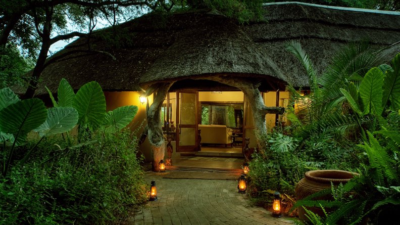 Royal Tree Lodge