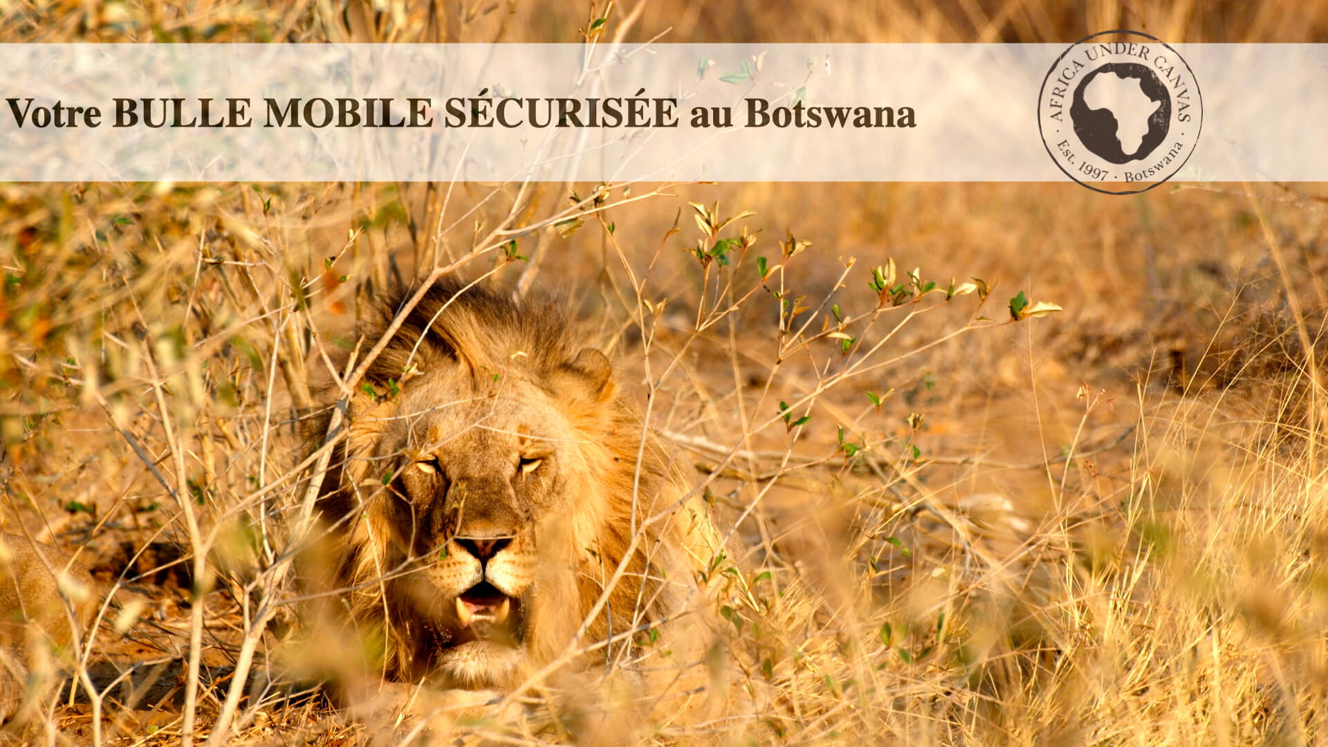 BOTSWANA: notre protocole sanitaire
