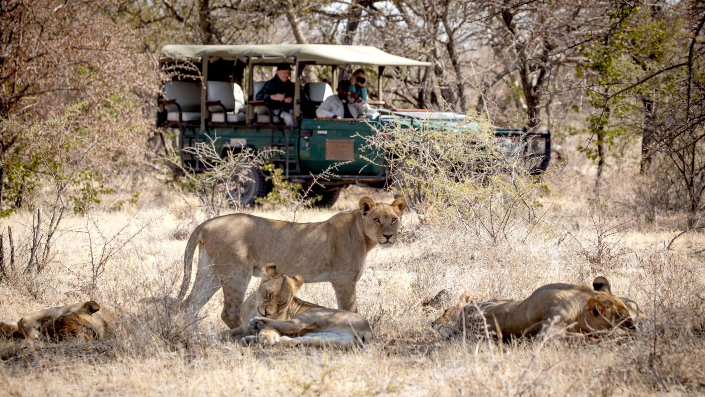 botswana camp kalahari