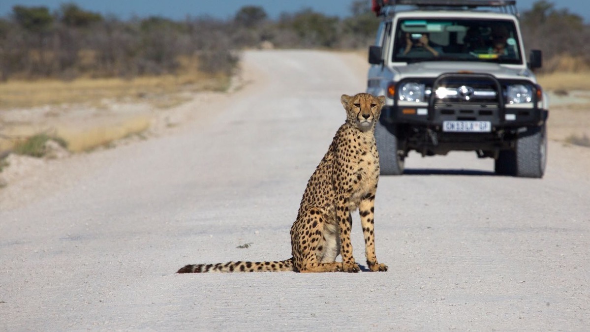 Lionel & Evelyne